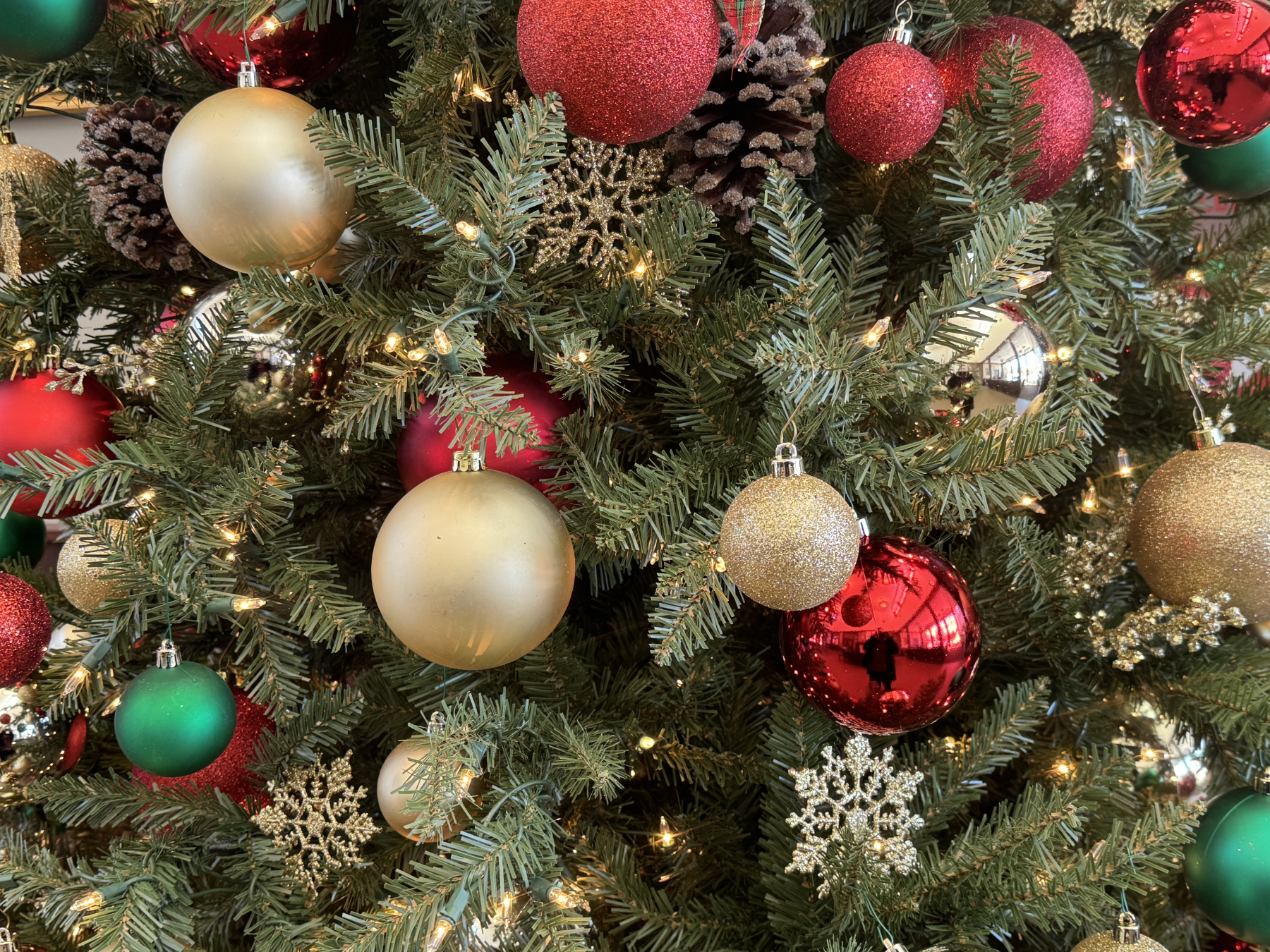 Reflecting on a Year of Impact: Thank You for Building the Future with Us